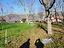 Immagine 25