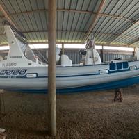 Gommone Asso 25 con 250 hp Suzuki