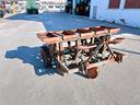 pianta-aglio-a-3-file-marca-soldi