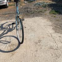 bici da passeggio