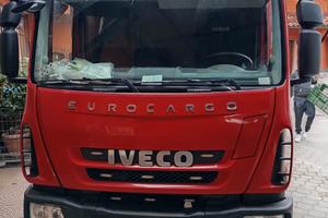 Autocarro / furgone portata fino a 2600kg