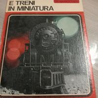 ferrovie e treni in miniatura 