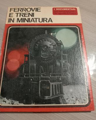 ferrovie e treni in miniatura 