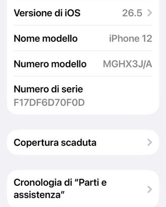 iPhone 12
