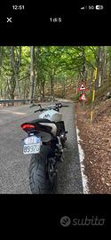 Hornet 600