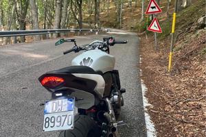 Hornet 600