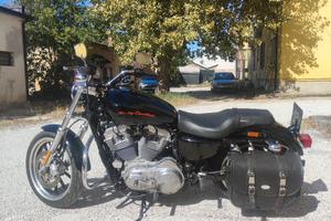 Harley 