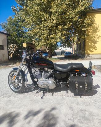 Harley 