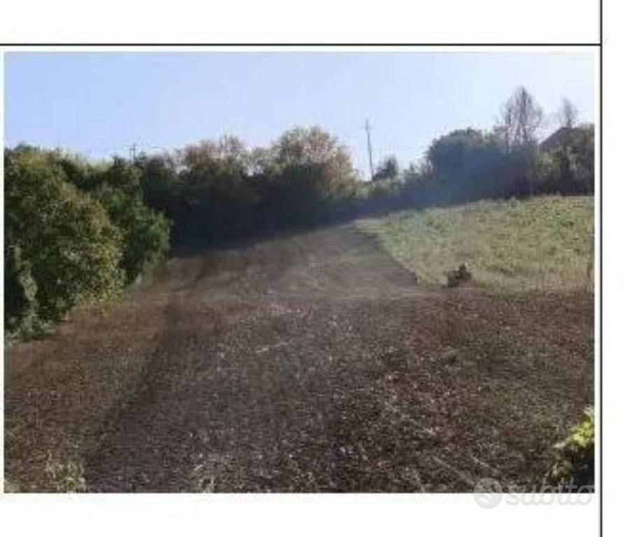 Immobile in asta di 85145 m² a Ripatransone - Vista 2