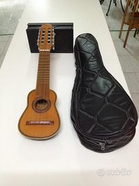 Charango argentino, con custodia e 9 corde scorta