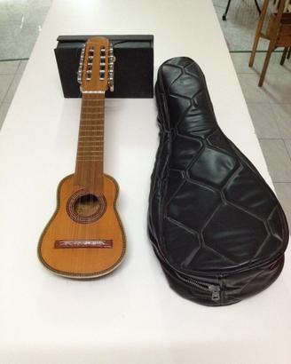 Charango argentino, con custodia e 9 corde scorta