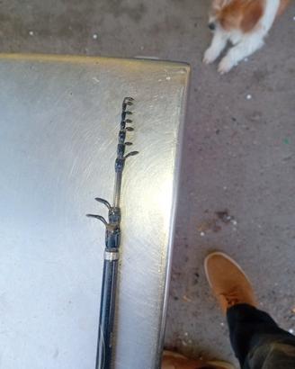 canna da fly fishing