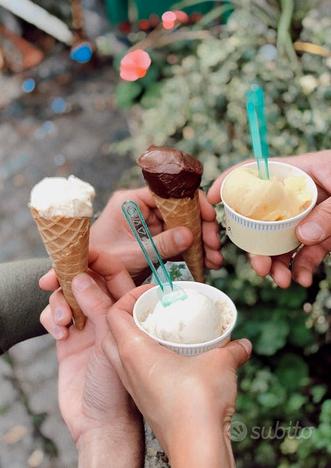 Gelateria con laboratorio grosso comune zona nord