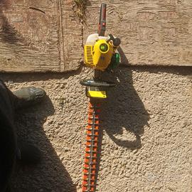 Tagliasiepi a scoppio