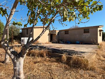 Terreno agricolo con ampia serra e risorsa idrica