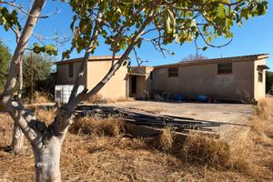 Terreno agricolo con ampia serra e risorsa idrica