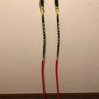 Bastoncini Leki WC, per GS, SuperG, DH