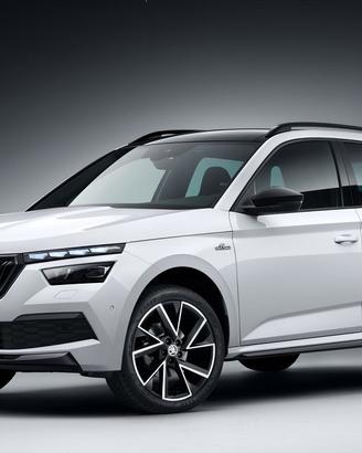 Ricambi Skoda Kamiq