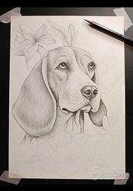 Ritratto di cane beagle su foglio