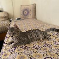 divani tradizionali marocchini