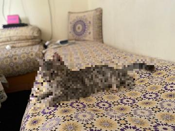 divani tradizionali marocchini