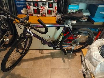 bicicletta da uomo