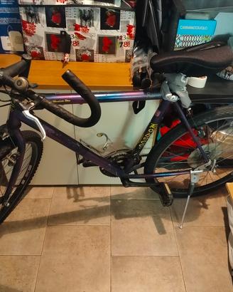 bicicletta da uomo