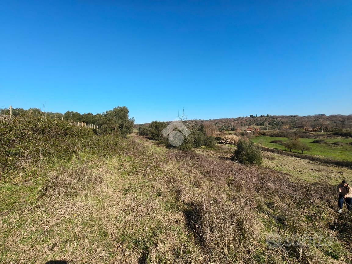TER. AGRICOLO A SANT'ANGELO ROMANO - Altro