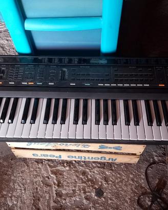 Tastiera Roland E-20 Usata pochissimo 