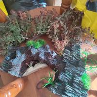 allestimenti acquari