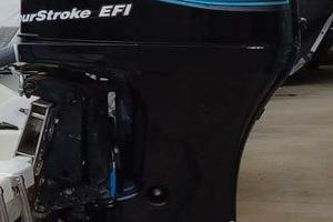 RICAMBI PER MERCURY 115 EFI  DEL 2002