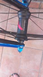 Splendida Pinarello!! 