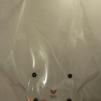 Parabrezza alta protezione Seat Mo 125 e cupolino