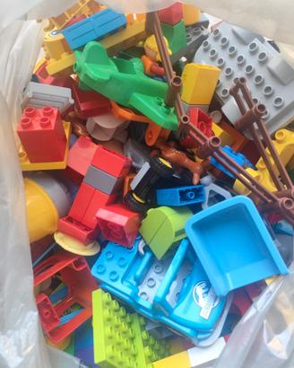 Duplo lego misti