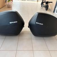 Coppia  borse laterali Shad SH36 carbon look