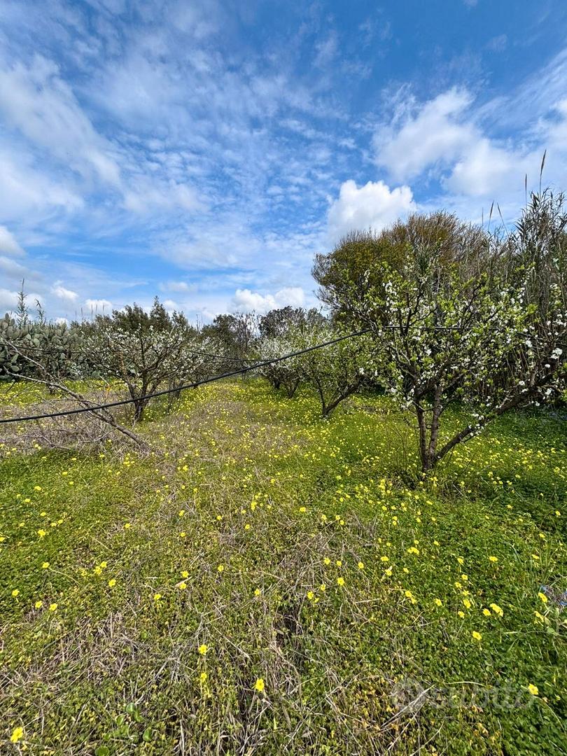 Terreno agricolo - Vista 6