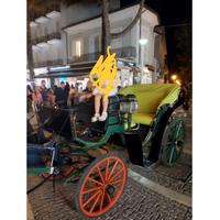 Mezzo a trazione animale