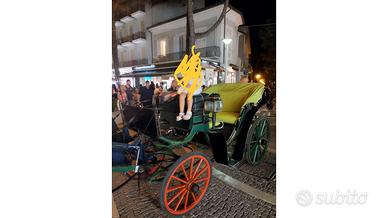 Mezzo a trazione animale