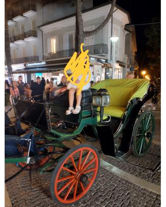 Mezzo a trazione animale