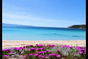 Deliziosa casa sul mare