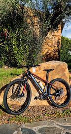 Mountain bike MBM Loop 29 Disk RR