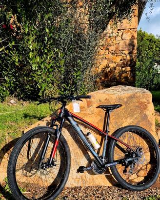 Mountain bike MBM Loop 29 Disk RR