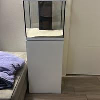 Acquario Askoll opera 80 litri