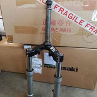 Forcella Peugeot Geopolis