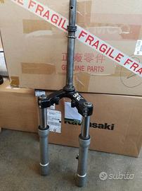 Forcella Peugeot Geopolis