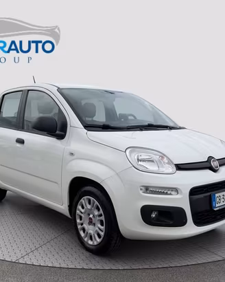 FIAT Panda 1.2 69cv Easy