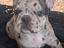 Immagine 5