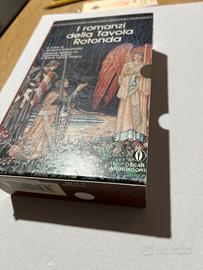 I romanzi della tavola rotonda