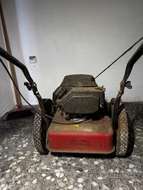 Decespugliatore a ruote