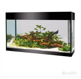 ACQUARIO ASCOLL PURE LED XL